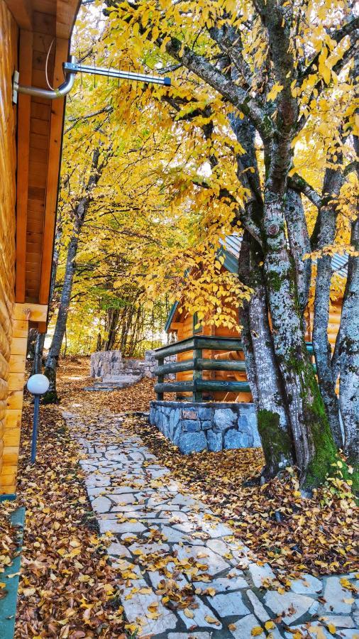 Kozak Apartments & Restaurant Мойковац Экстерьер фото