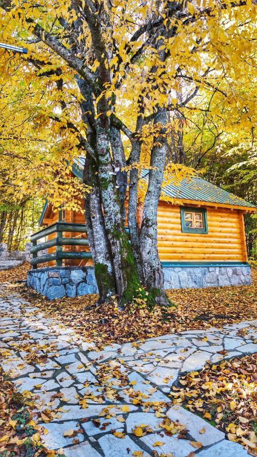 Kozak Apartments & Restaurant Мойковац Экстерьер фото