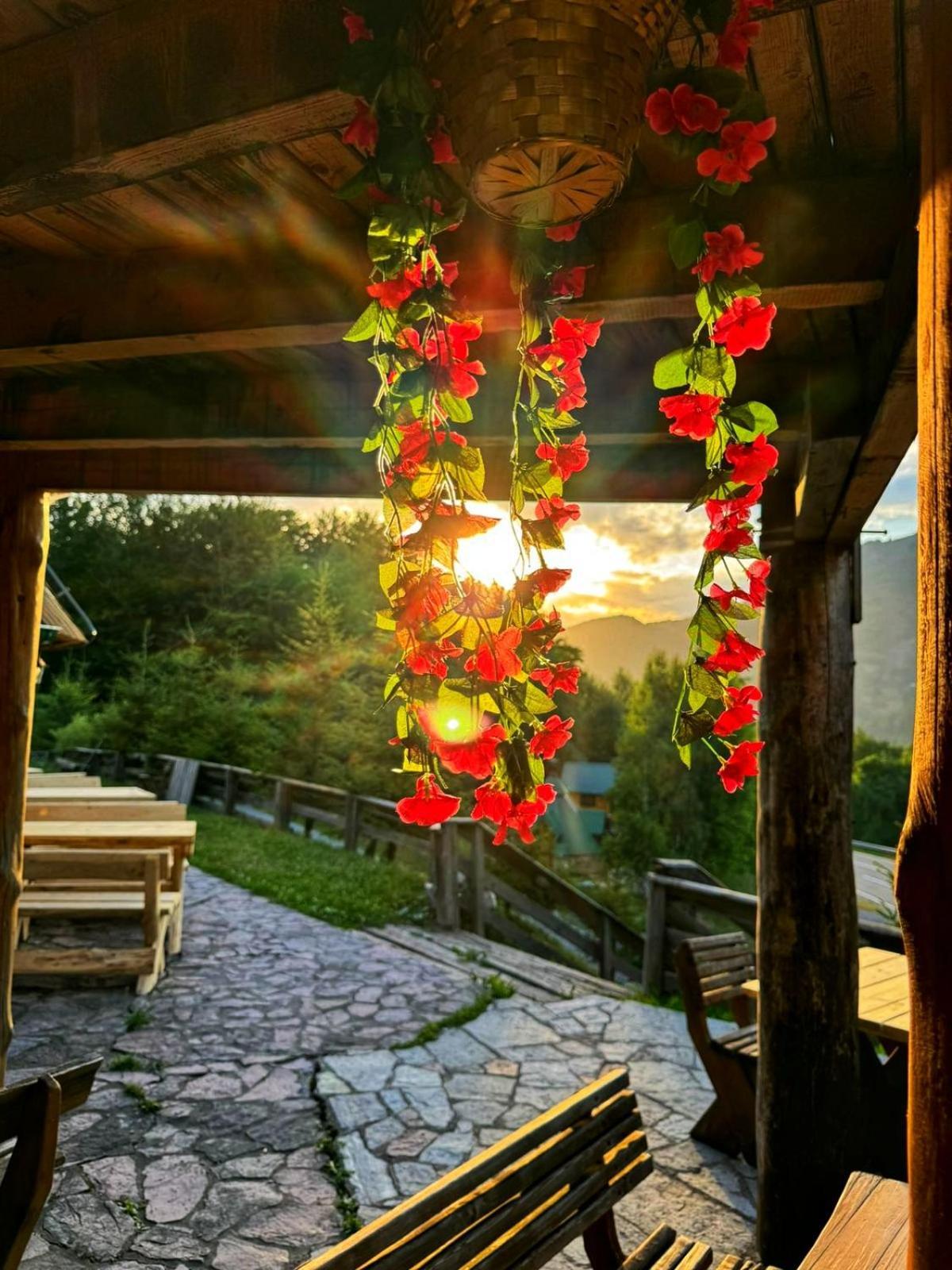 Kozak Apartments & Restaurant Мойковац Экстерьер фото